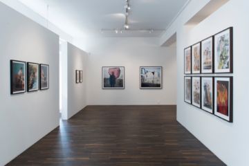  Installation Views – Stephen Gill Buried flowers coexist with disappointed ants 2015 – Christophe Guye Galerie