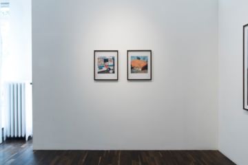  Installation Views – Stephen Gill Buried flowers coexist with disappointed ants 2015 – Christophe Guye Galerie