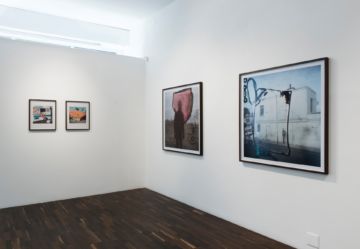  Installation Views – Stephen Gill Buried flowers coexist with disappointed ants 2015 – Christophe Guye Galerie