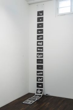  Installation Views – Stephen Gill Buried flowers coexist with disappointed ants 2015 – Christophe Guye Galerie