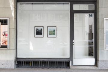  Installation Views – Stephen Gill Buried flowers coexist with disappointed ants 2015 – Christophe Guye Galerie