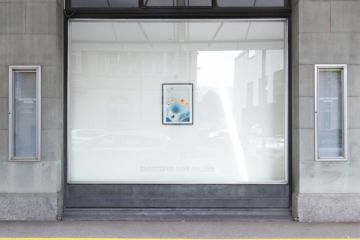  Installation Views – Stephen Gill Buried flowers coexist with disappointed ants 2015 – Christophe Guye Galerie