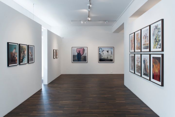 Buried flowers coexist with disappointed ants – Christophe Guye Galerie