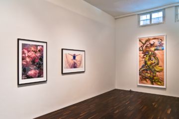   – Christophe Guye Galerie