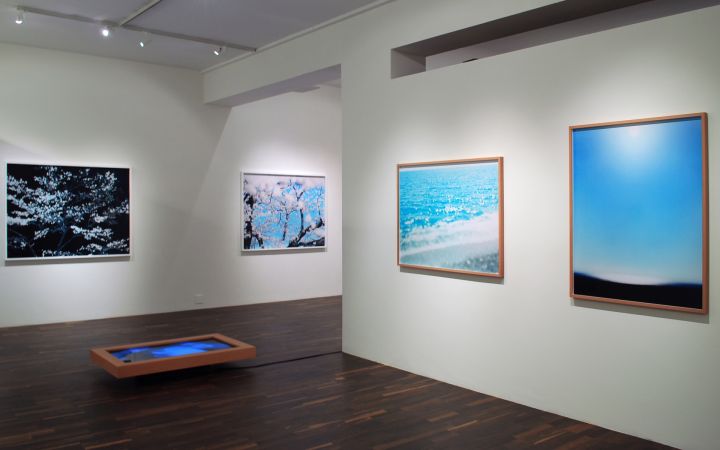 Stream of consciousness – Christophe Guye Galerie