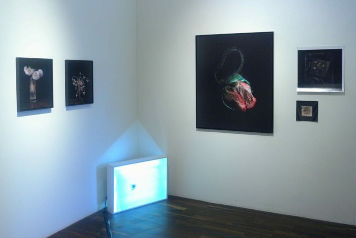 Sneak Peek – Christophe Guye Galerie