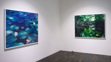   – Christophe Guye Galerie