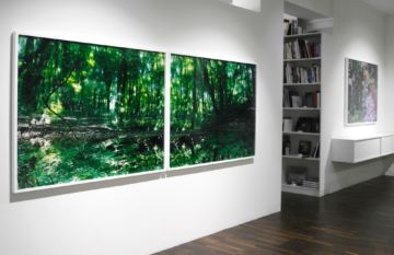   – Christophe Guye Galerie