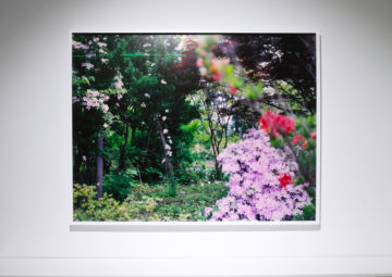   – Christophe Guye Galerie