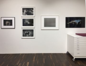   – Christophe Guye Galerie