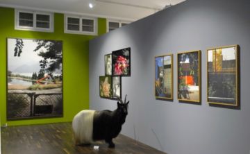   – Christophe Guye Galerie