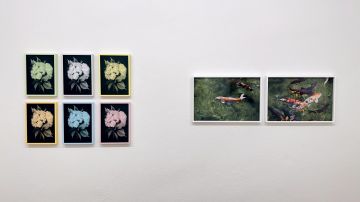   – Christophe Guye Galerie
