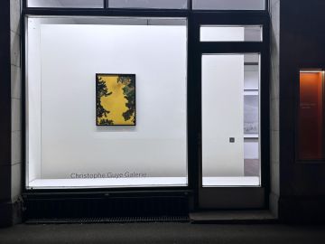   – Christophe Guye Galerie