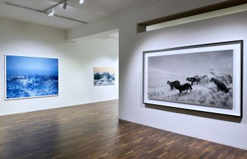   – Christophe Guye Galerie
