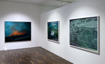   – Christophe Guye Galerie