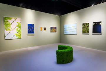   – Christophe Guye Galerie