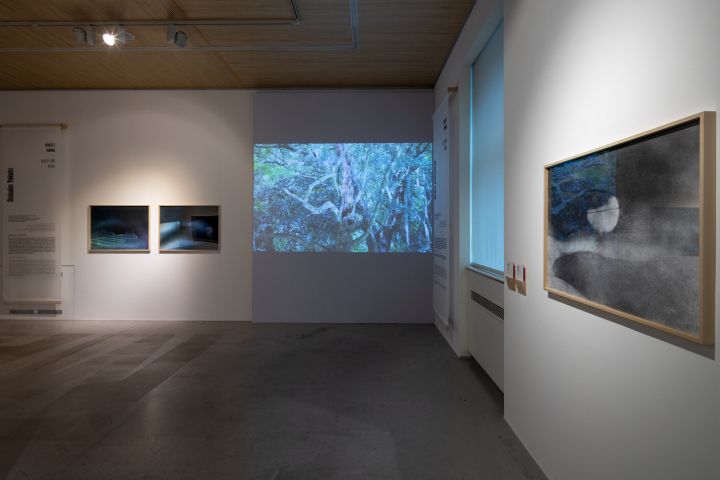 Japan Bodies, memories, visions – Christophe Guye Galerie