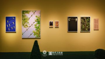   – Christophe Guye Galerie