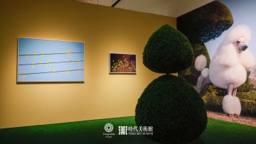   – Christophe Guye Galerie