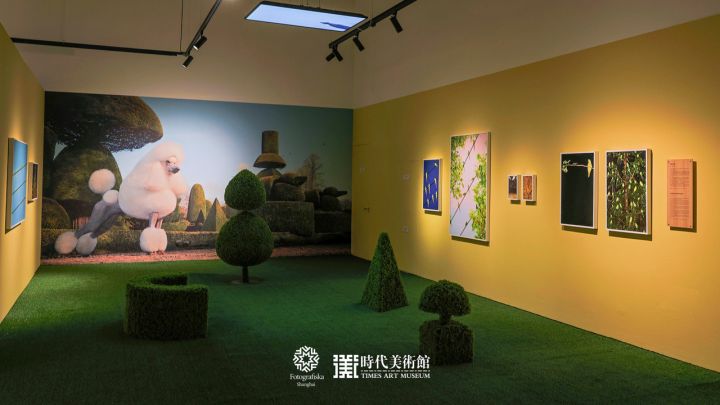 The Pet Show – Pet themed photography exhibition – Christophe Guye Galerie