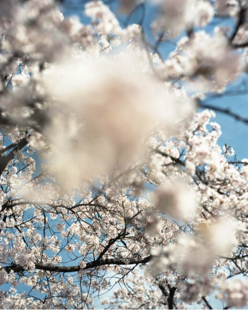 <p>— Christie's</p>
…