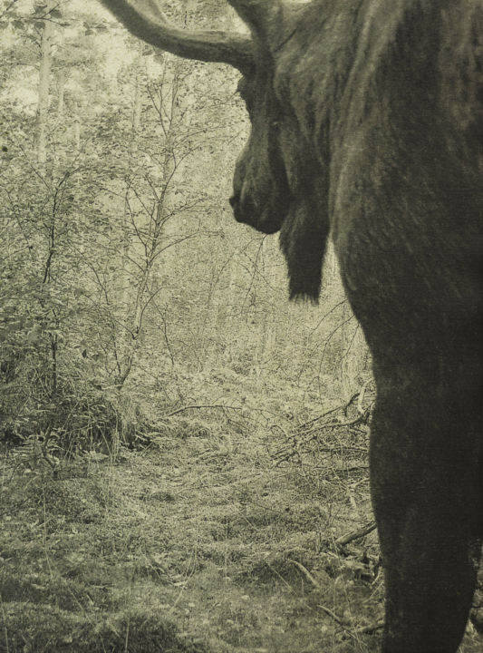 <p>— Financial Times…