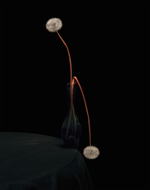 <p>— Der Bund</p>
<p…