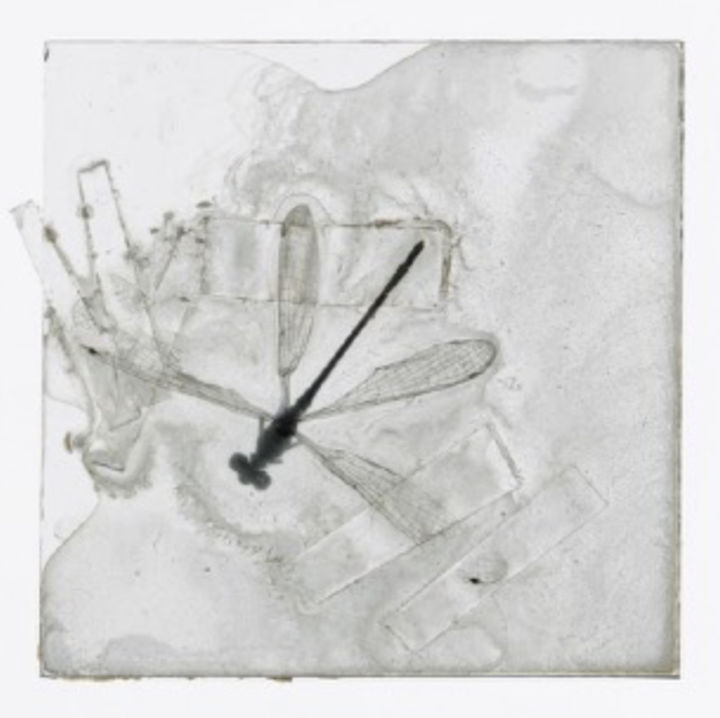 <p>— Darmstädter Tag…