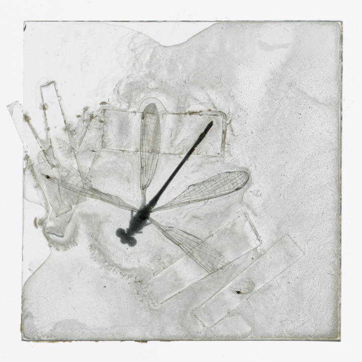 <p>— Boutographes 20…