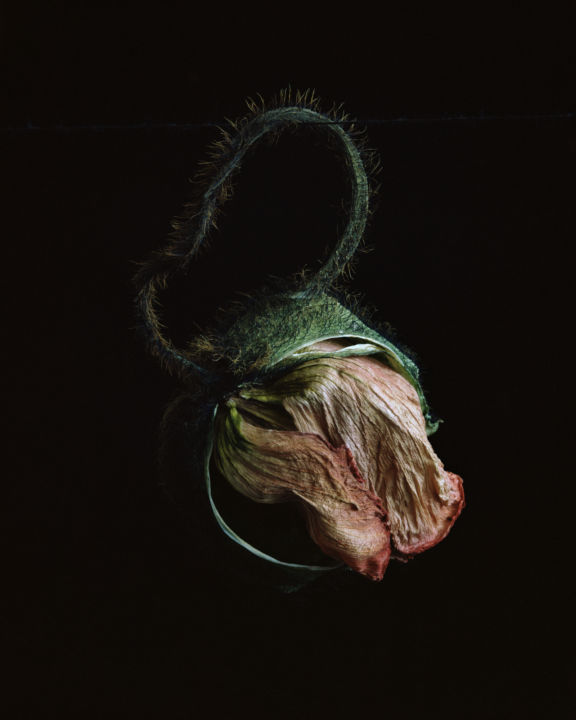 <p>— Kunstbulletin</…