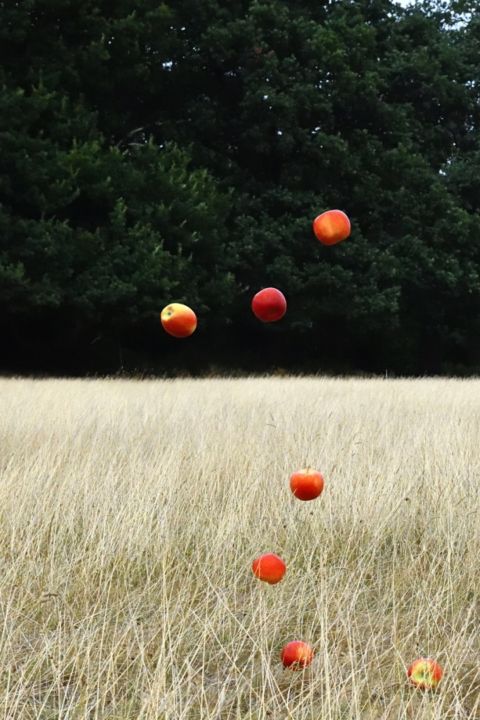 <p>— The Guardian</p…