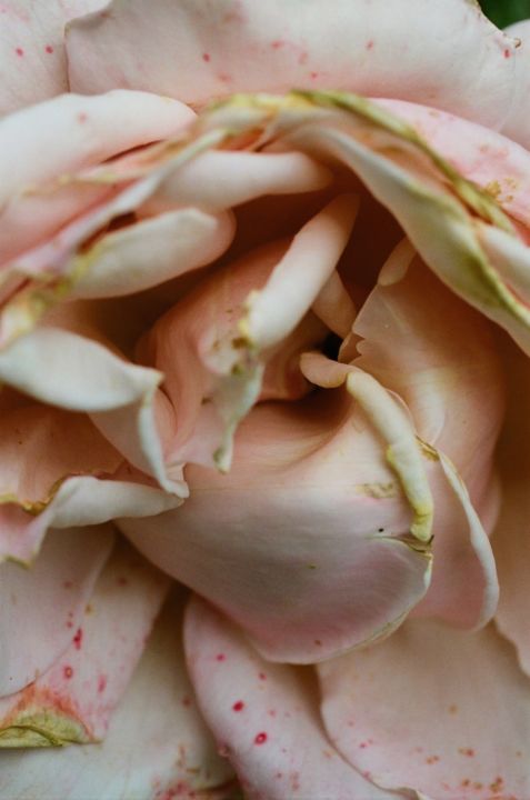 <p>— Kunstbulletin</…