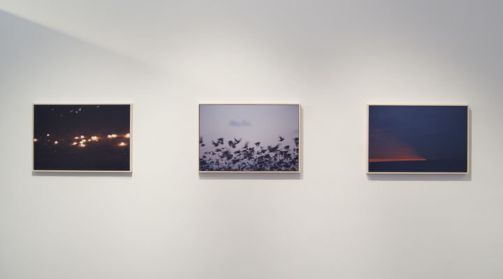 <p>— Galleries Now</…