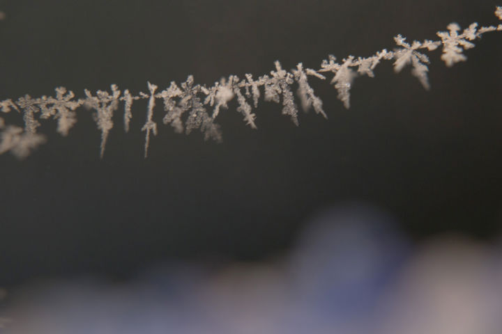 <p>— Il Sole 24 ORE<…