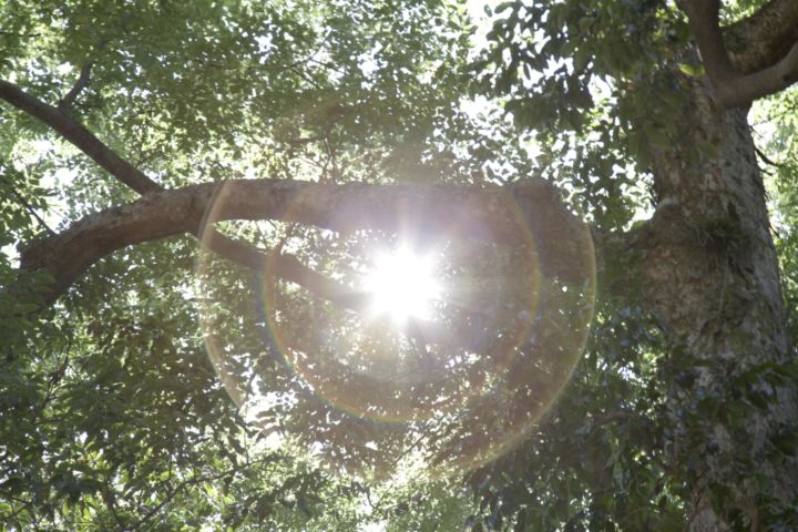 <p>— Purple Diary</p…