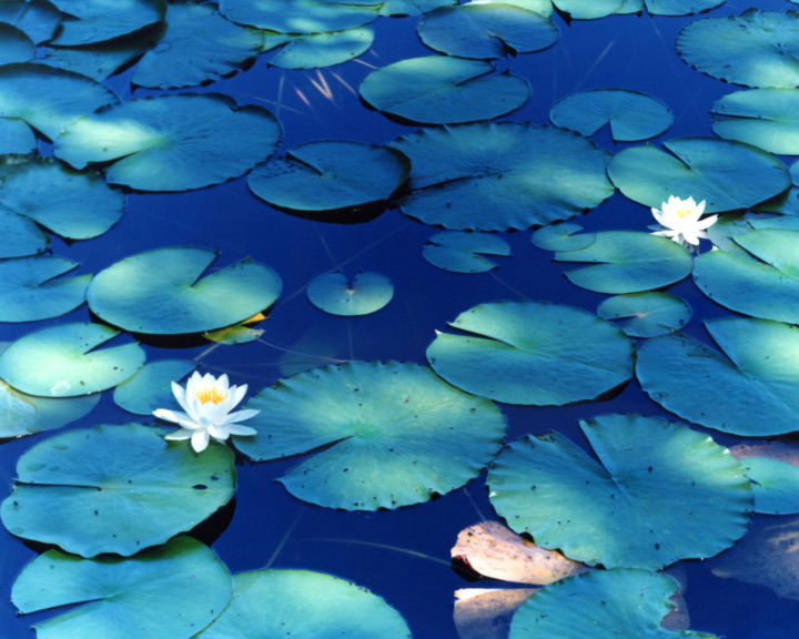 <p>— Sichtbar.art</p…