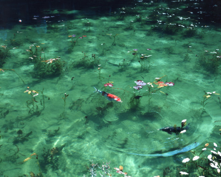 <p>— Réponses Photo<…