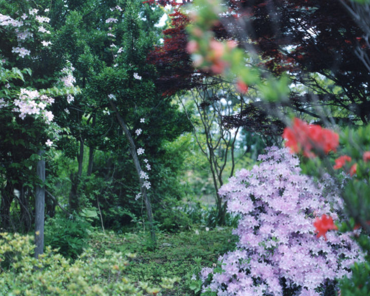 <p>— Fotointern.ch</…