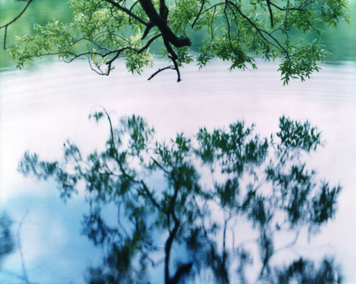 <p>— Kunstbulletin 1…