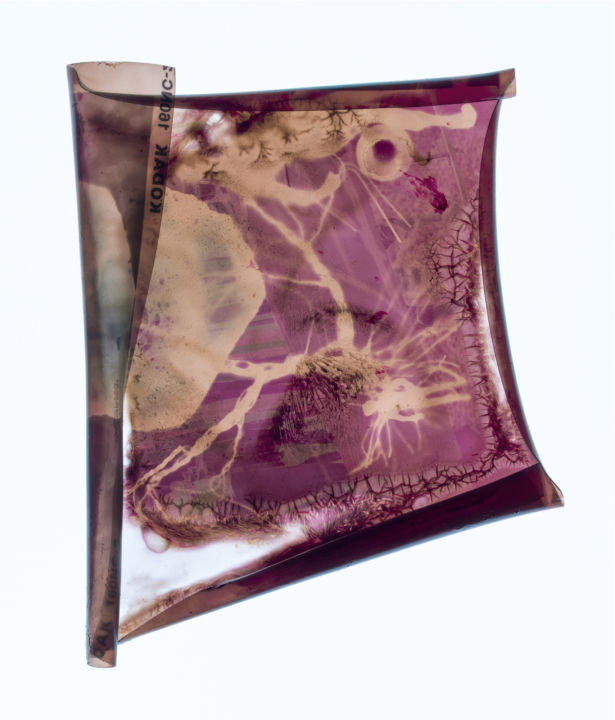 <p>— Photo-Theoria</…