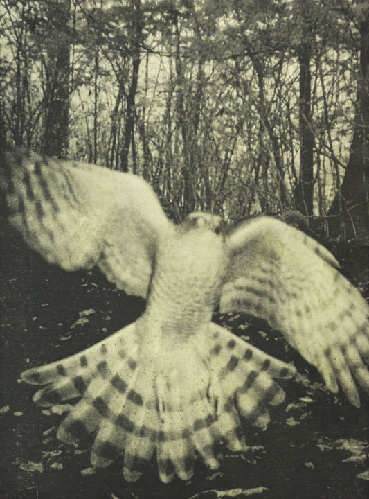 <p>— Artlyst<br /></…