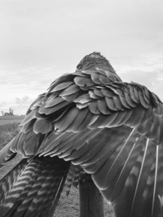 <p>— Financial Times…