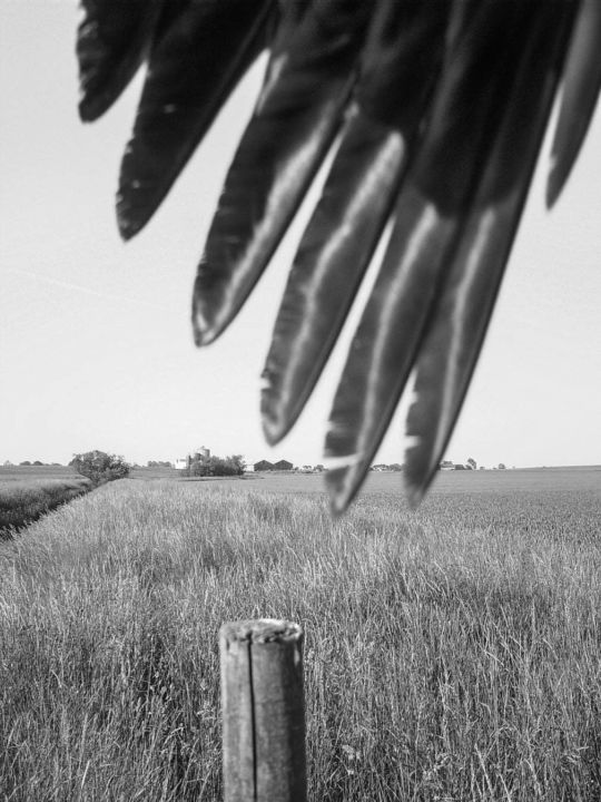 <p>— The Guardian<br…