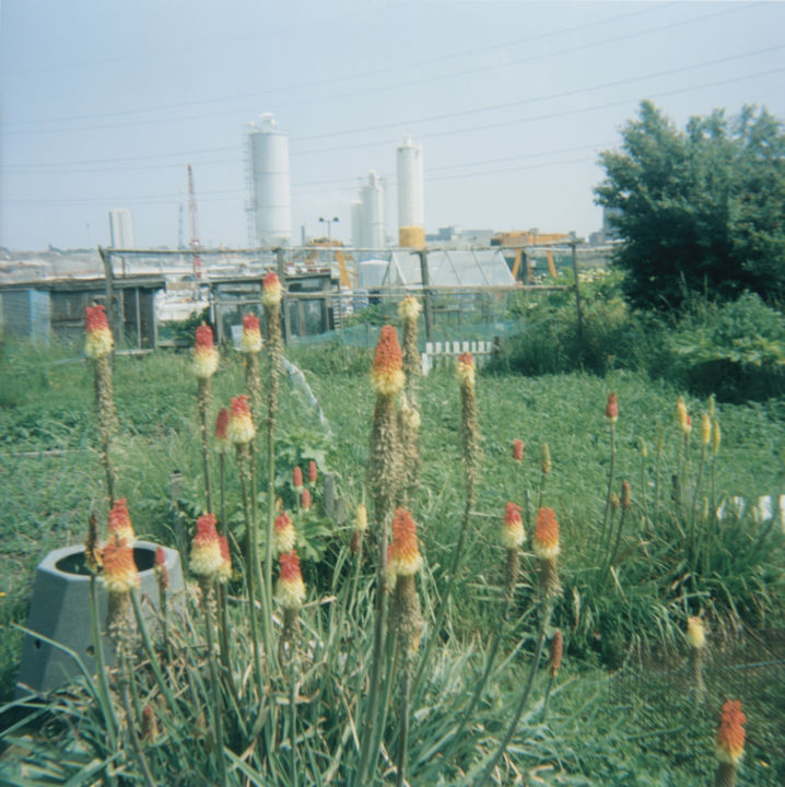 <p>— Wallpaper*<br /…