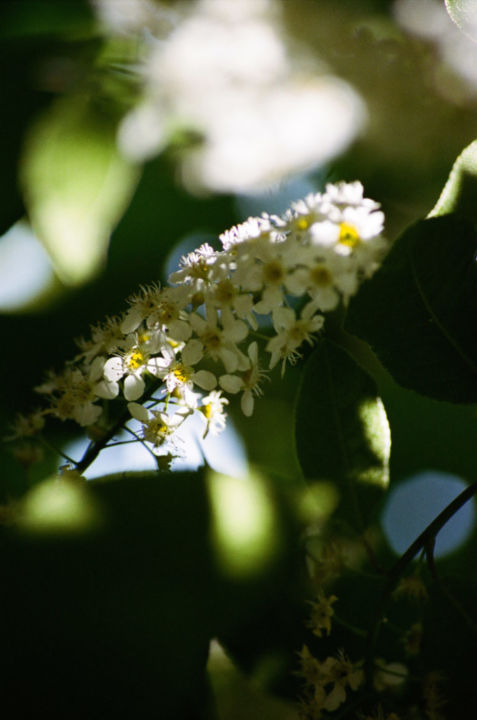 <p>— British Journal…