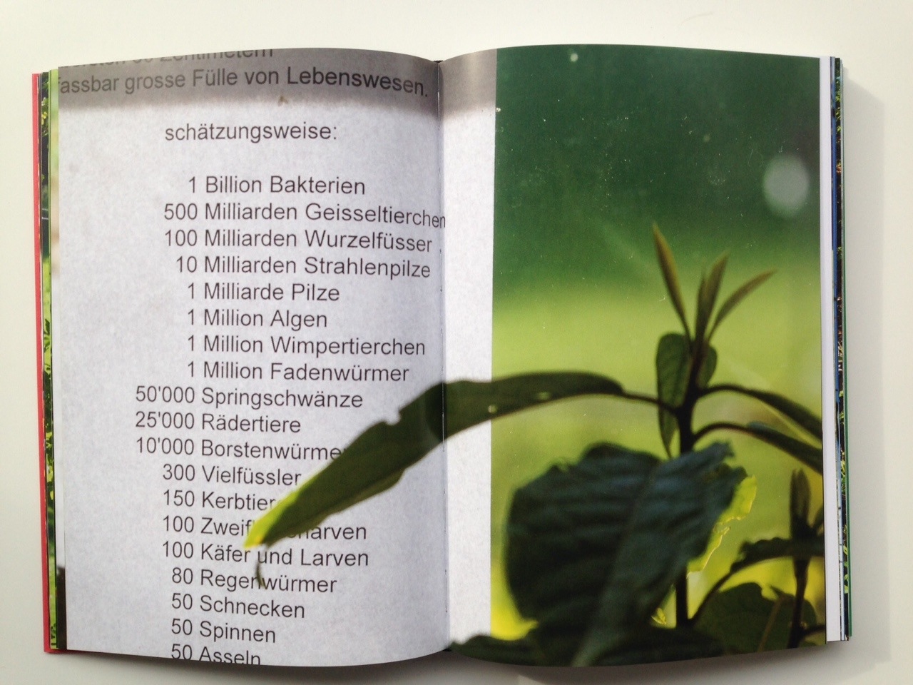 Beat Streuli – Villa Monte - Schule der Kinder