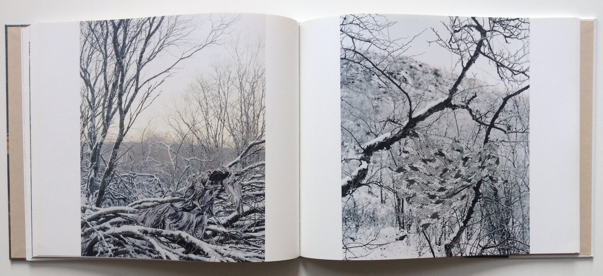 Riitta Päiväläinen – Imaginary Meetings