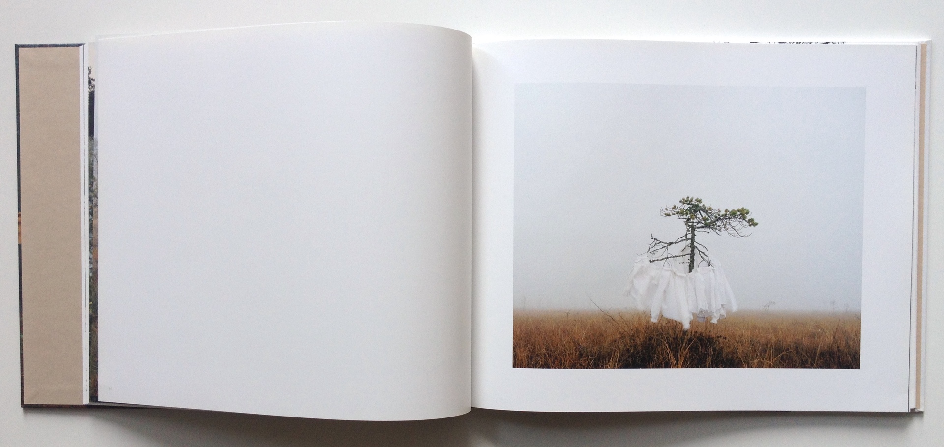 Riitta Päiväläinen – Imaginary Meetings