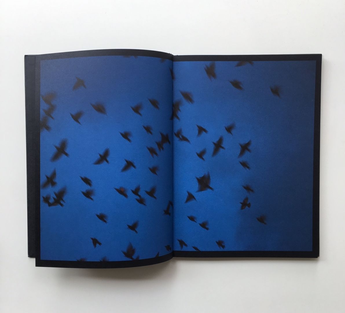 Rinko Kawauchi – Halo