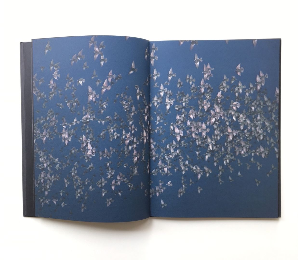 Rinko Kawauchi – Halo